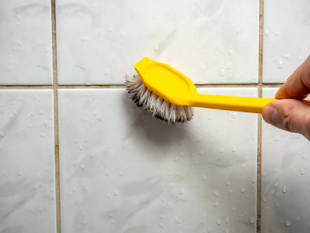 Best Residential Mold Removal  in Binghamton, NY