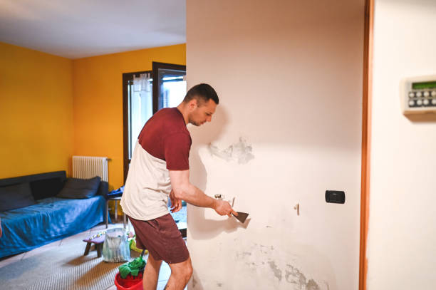 Trusted Binghamton, NY Mold Removal Experts